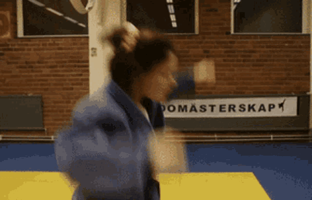 a blurred image of a person in front of a sign that says domasterskap