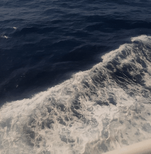 a large body of water with a lot of foam
