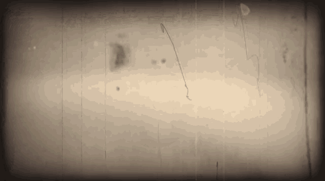 a black and white photo of a wooden wall with a few lines on it