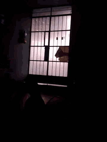 a person laying on a bed in a dark room with a window