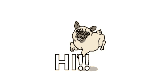 a cartoon of a pug dog jumping in the air with the word hi in the background .