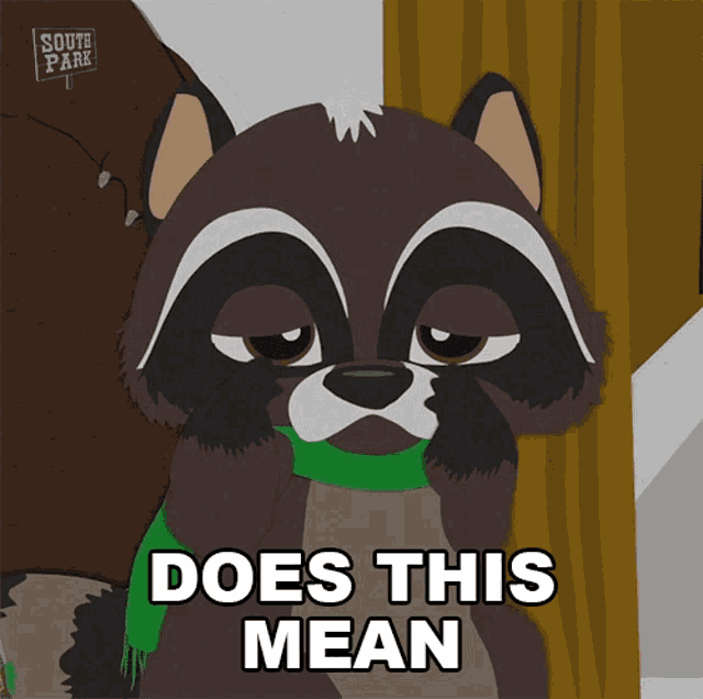 Does This Mean We Can Go To Sleep Now Raccoony GIF - Does This Mean We Can Go To Sleep Now Raccoony South Park GIFs