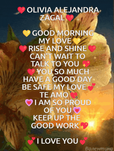 olivia alejandra zagal good morning my love rise and shine cant wait to talk to you you so much have a good day be safe my love