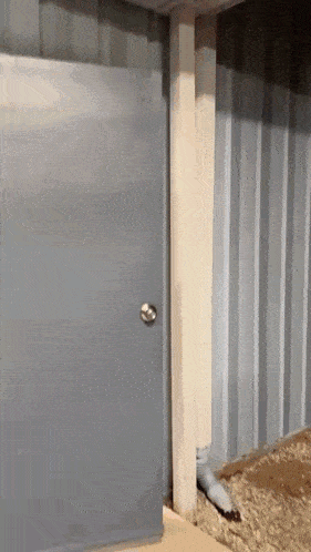 a gray door with a white knob is open
