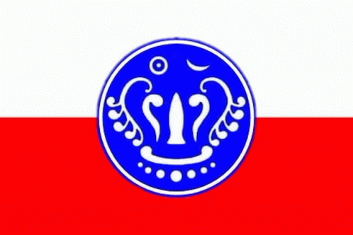 Rakhine Flag GIF - Rakhine Flag GIFs