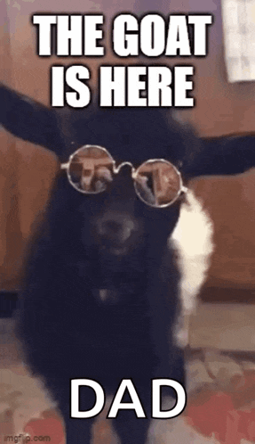a goat wearing sunglasses is standing in front of a sign that says the goat is here dad .