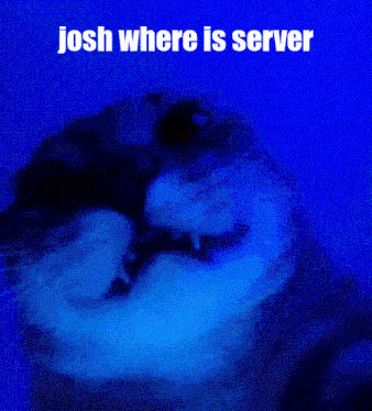 Josh Where Is GIF - Josh Where Is Server GIFs