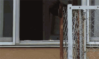 a chain link fence behind a window with a sign that says ' a ' on it