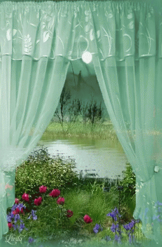 Window View GIF - Window View Nature GIFs