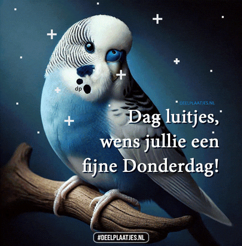 a blue and white bird is sitting on a branch and says dag luitjes