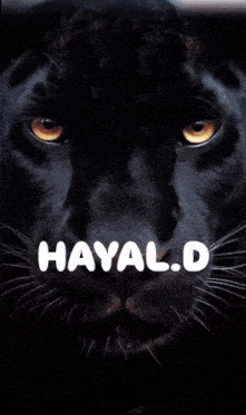a picture of a woman and a black cat with hayal.d written on the bottom
