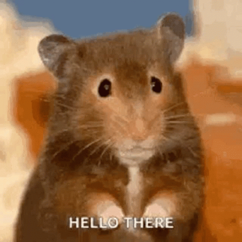 Hello There Rat GIF - Hello There Rat Waving GIFs