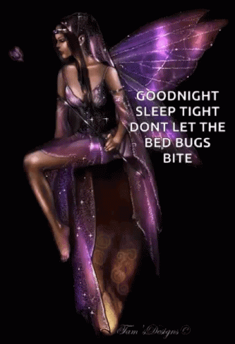 Sleep Tight Goodnight GIF - Sleep Tight Goodnight Fairies GIFs
