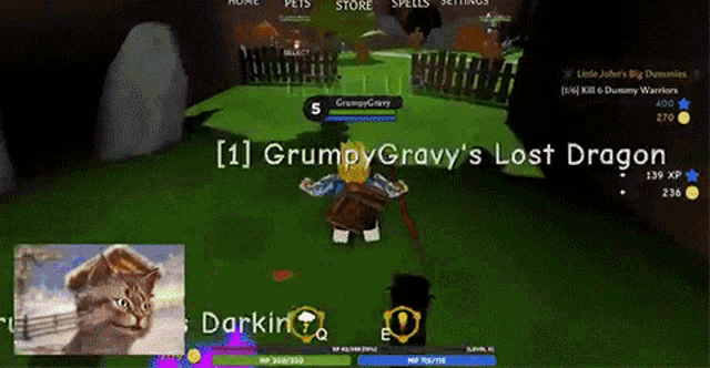 Level Up Roblox Wizard Simulator GIF - Level Up Roblox Wizard Simulator Pro Challenge GIFs