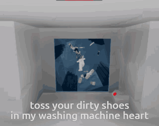 a picture of a washing machine with the words toss your dirty shoes in my washing machine heart
