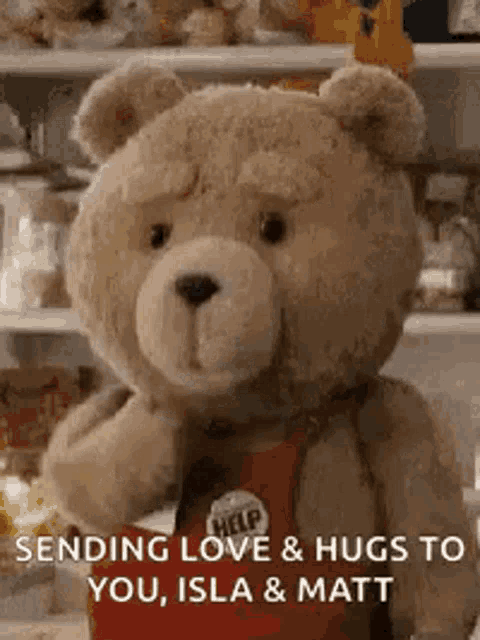 a teddy bear is standing in front of a shelf .