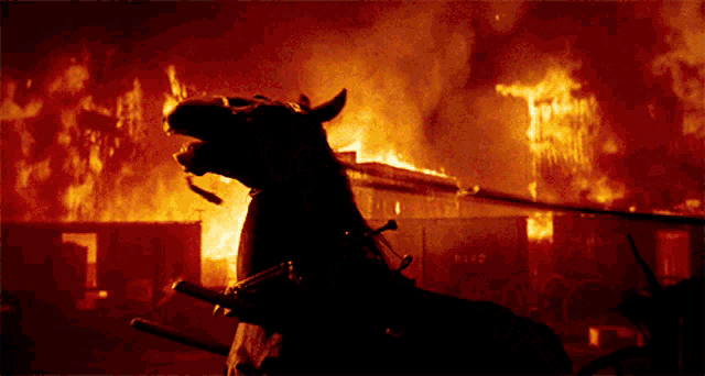 a silhouette of a horse in front of a burning building