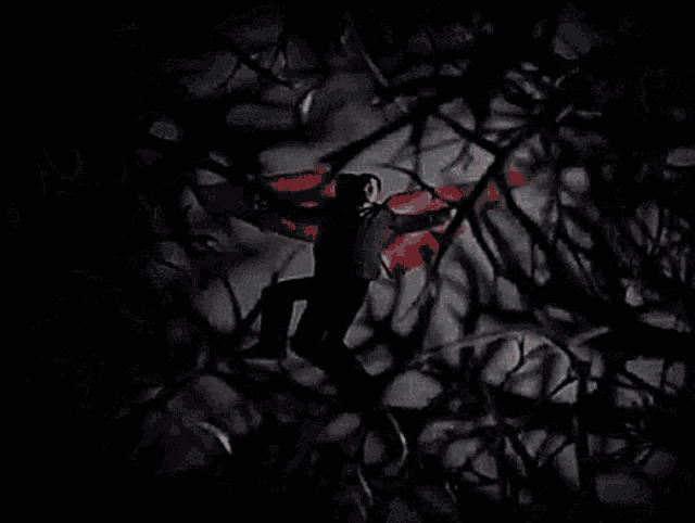 a man in a vampire costume is flying through the air in a dark forest .
