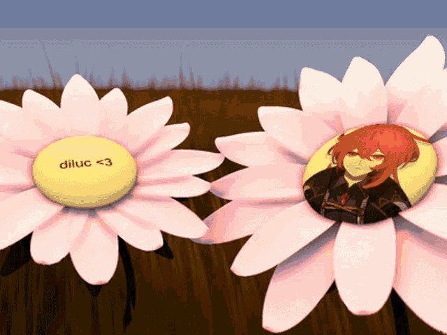 two pink daisies with a yellow center that says dilluc < 3 on it