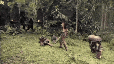 a group of people are standing in a grassy area in a forest .