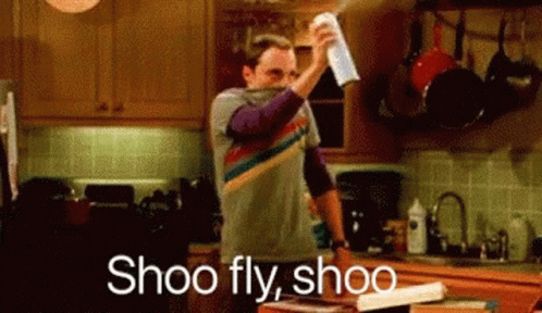 Shoo Fly Sheldon Cooper GIF - Shoo Fly Sheldon Cooper Big Bang Theory GIFs
