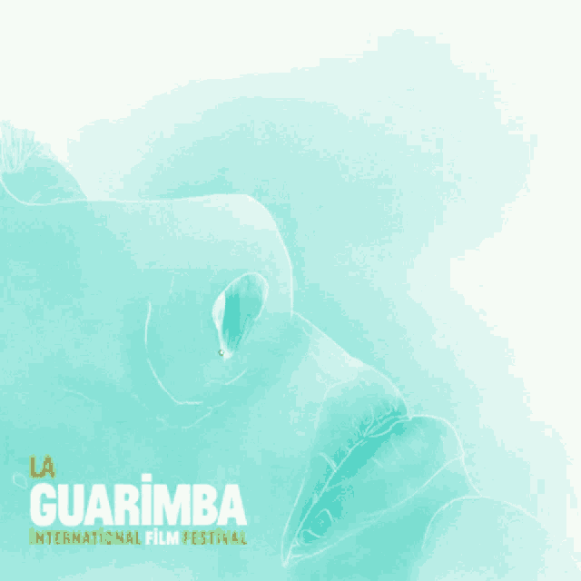 a poster for the guarimba international film festival shows a woman with red hair