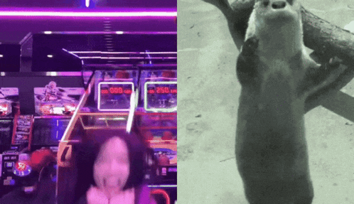 a woman playing an arcade game next to an otter playing a game