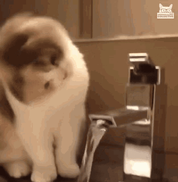 Thirsty Almost GIF - Thirsty Almost Close Enough GIFs