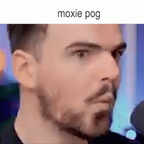 Moxie2d Pog GIF - Moxie2d Moxie Pog GIFs
