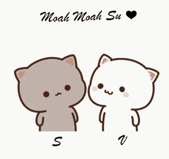 a couple of cartoon cats kissing with the words moah moah su below them