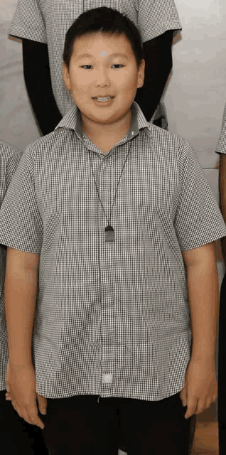 a young boy wearing a plaid shirt and a necklace smiles for the camera