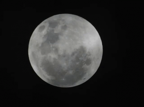Moon Full Moon GIF - Moon Full Moon Half Moon GIFs