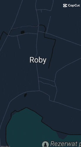 a painting of a soldier named roby