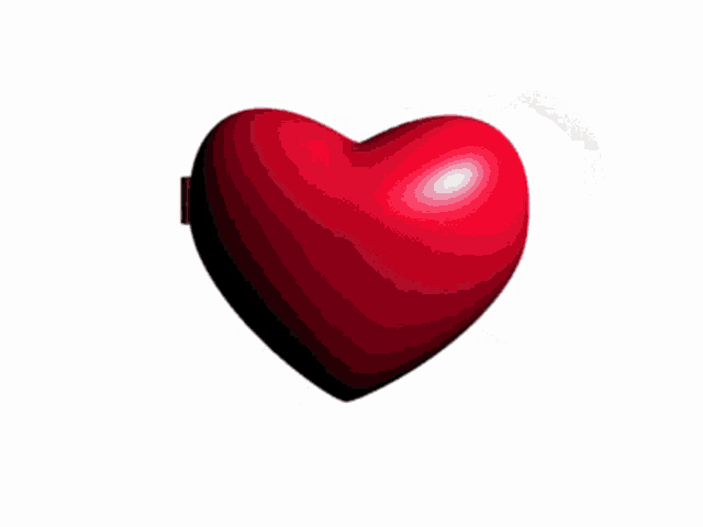 a heart shaped pin that says " r.i.p cheese cairante 2021/2021 "