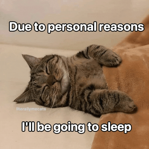 a cat laying on a blanket with a caption that says due to personal reasons i 'll be going to sleep