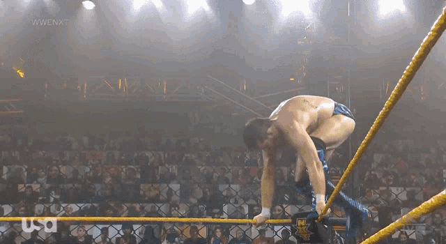 a man in a wrestling ring with a usa logo in the corner