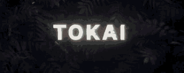 a sign that says oka tokai on it