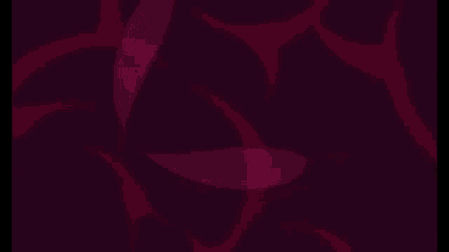 a purple background with the word pitui on it