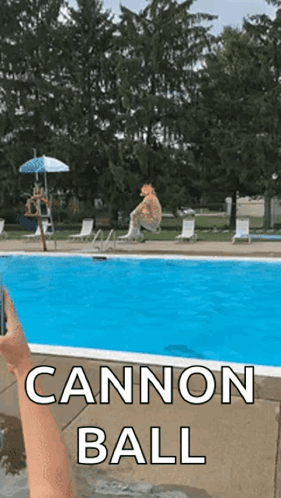 Cannonball Pool GIF - Cannonball Pool Giraffe GIFs