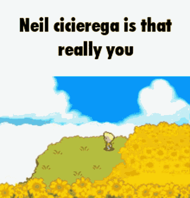 a cartoon of a boy walking through a field of yellow flowers with the caption neil cicierega is that really you
