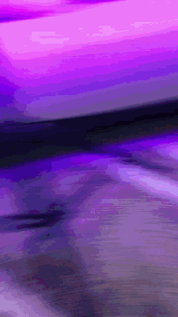 a purple and pink background with a few lines on it