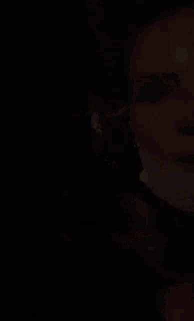 a person wearing sunglasses and a mask is talking on a cell phone in the dark .