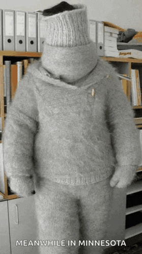 a person wearing a sweater and gloves with the words meanwhile in minnesota on the bottom