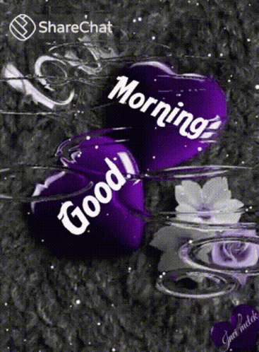 Good Morning Morning GIF - Good Morning Morning Raining GIFs