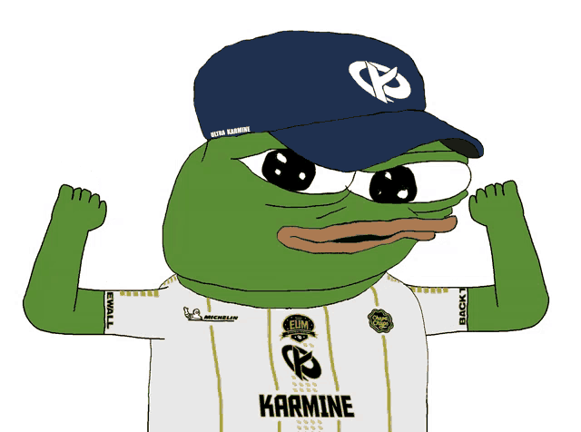 a cartoon of a green frog wearing a shirt that says karmine