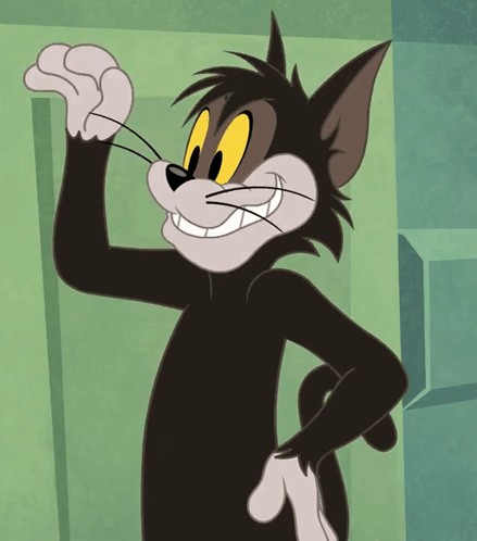 Tom Black Cat GIF - Tom Black Cat GIFs