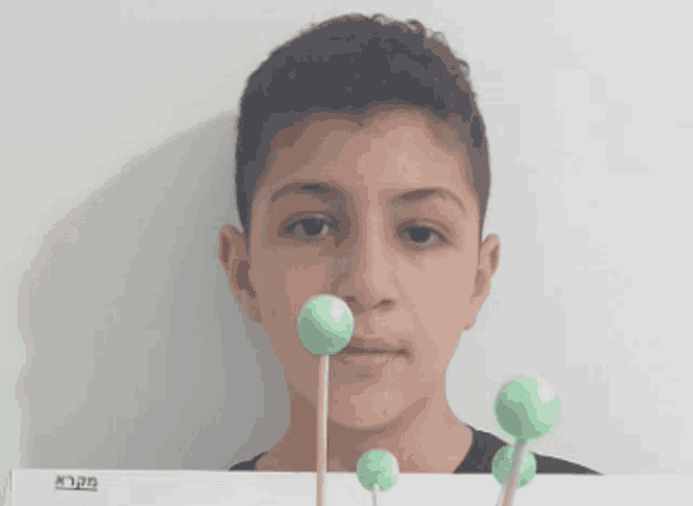 a boy is holding a model of a molecule with green balls on sticks