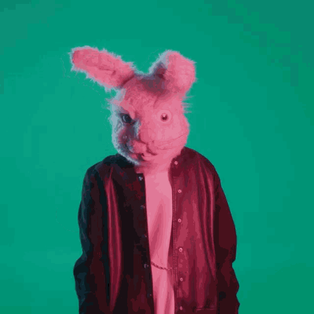 a person wearing a bunny mask and a black jacket