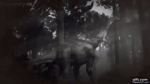 Sauropod Velociraptor GIF - Sauropod Velociraptor Walking With Dinosaurs GIFs
