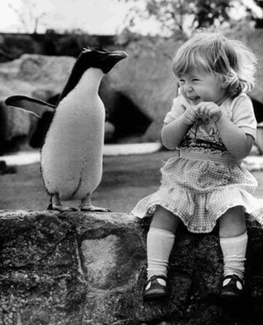a little girl sitting next to a penguin on a rock